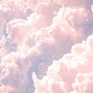 Meet your Posher, Jules